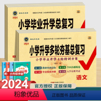 小学毕业升学总复习 语文 小学升初中 [正版]2024新版神龙牛皮卷真卷小学毕业升学总复习语文数学英语人教版试卷小学升学