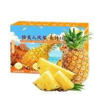 [熊猫鸟]海南金钻凤梨 净重2.5斤 1-2个 中果 当季新鲜水果 酸甜多汁 产地精选