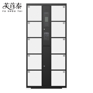 芙首泰智能储物柜人脸识别10门850*460*1800mm台