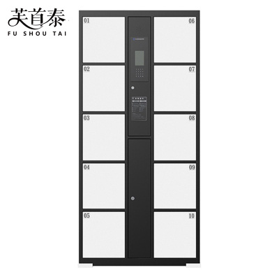 芙首泰智能储物柜人脸识别10门850*460*1800mm台