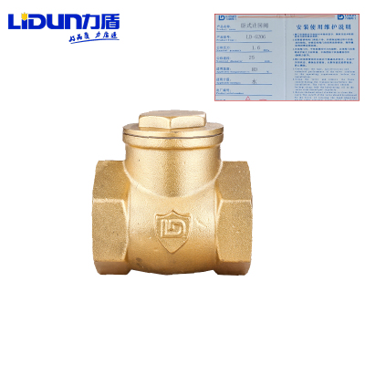 力盾 黄铜锻压卧式止回阀 6206 DN25 只