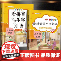 汉之简看拼音写词语三年级上册下册人教版小学语文专项同步训练看字写拼音练习册课堂句子生字词作业本写字本练字帖注音天天练