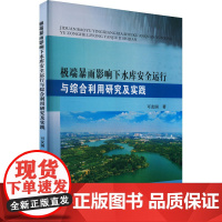 极端暴雨影响下水库安全运行与综合利用研究及实践 可友国 著 黄河水利出版社 水利电力 建筑/水利(新)