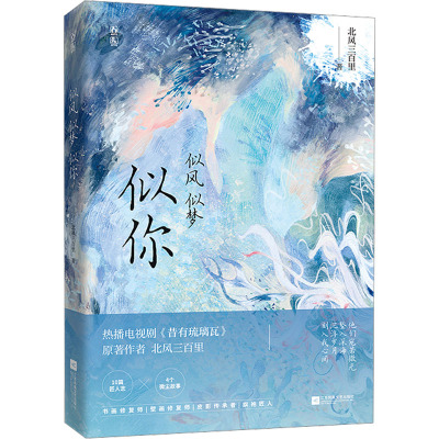 [友一个正版]似风似梦似你 十四个短篇故事合集 匠人的故事 热播电视剧《昔有琉璃瓦》原著作者北风三百里新作品少年多无畏