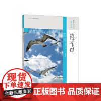 数学飞鸟