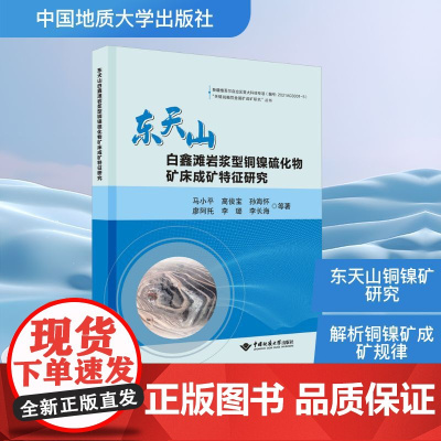 东天山白鑫滩岩浆型铜镍硫化物矿床成矿特征研究 马小平 等 著 地质学专业科技 正版图书籍 中国地质大学出版社