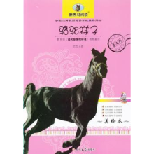 诺森骆驼祥子:美绘本老舍著9787567703674吉林大学出版社