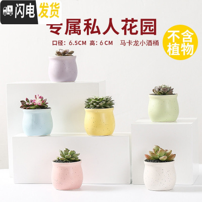 三维工匠多肉花盆陶瓷透气大口径家用创意粗陶肉肉植物小盆器 马卡龙小酒桶(6个) 小花盆容器