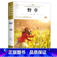 野草 鲁迅原著正版 [正版]故乡 鲁迅原著 六年级必读的课外书老师 适合小学生看的阅读课外书籍 鲁迅小说散文作品全集读本