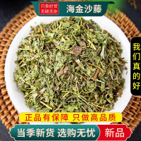 甄选海金沙藤100克干货扫把藤天仙草金沙藤另售金钱草9260
