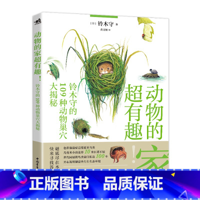 动物的家超有趣!铃木守的109种动物巢穴大揭秘 [正版]动物的家超有趣 铃木守的109种动物巢穴大揭秘自然插图博物趣味中