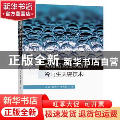 正版 沥青路面泡沫沥青冷再生关键技术 马涛,陈思宇,李秀君著