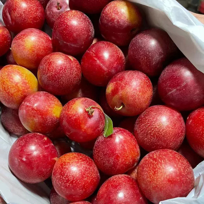 [苏鲜生]进口粉红李 净重5斤