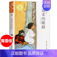 最温柔的眼睛 [正版]温柔的眼睛书 黄蓓佳著小学生课外阅读书籍 三四五六年级 6-7-9-10-12-14-15周岁 儿
