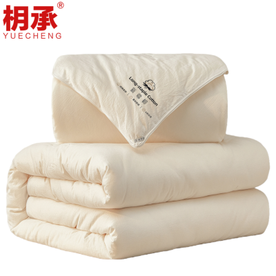 枂承被子1.5m6斤床