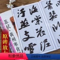 [正版] 苏轼黄州寒食诗 毛笔草书书法练字帖 大家书院系列第一辑 名碑名帖完全大观十五 江西美术出版社