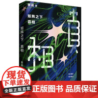 矩阵之下:真相 (咪咕第四届科幻小说奖 水浒传编剧杨争光 《冰与火之歌》翻译胡绍宴、星云奖得主吴霜联袂)