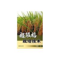 正版新书]超级稻栽培技术朱德峰9787508242736