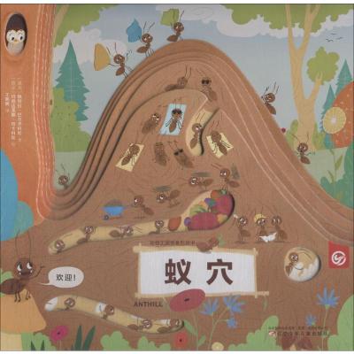 B[正版]动物王国创意形状书套装(全三册)