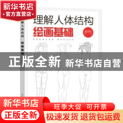 正版 理解人体结构 绘画基础 戚浩松 人民邮电出版社 97871155960