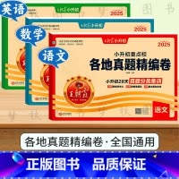 小升初真题精编[语文+数学+英语]全国通用 小学升初中 [正版]2025新小升初真题卷试卷全套名校期末真题精编卷必刷题人