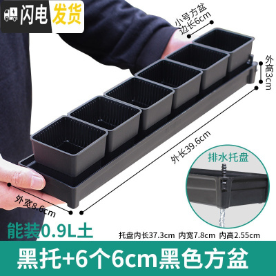 三维工匠控根多肉花盆套装组合塑料创意个性简约透气北欧风肉肉小盆器 [窄排水黑托]+6个黑盆(6cm盆) 中小花盆容器