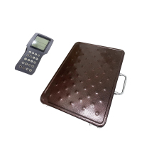 沐蓝星 手持无线电子秤 300kg 台