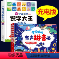 识字大王+有声拼音书[充电版] [正版]会说话的识字大王宝宝认字书汉字认知会说话的早教有声书幼儿园儿童拼音手指点读象形幼