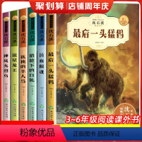 沈石溪动物小说.第一辑(6册) [正版]全套6册沈石溪动物小说全集中小学生8-10-12-15岁少儿童读物 三四五年