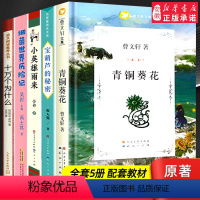 [全套5册]四年级下册课外阅读 [正版]全套4册 青铜葵花曹文 轩小英雄雨来管桦与宝葫芦的秘密张天翼细菌世界历险记四年级