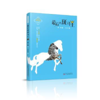 音像的斑马王袁博著