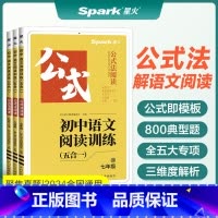 [九年级/中考]语文阅读训练七合一 初中通用 [正版]2024Spark英语巅峰训练七年级八年级九年级初中语文阅读训练七