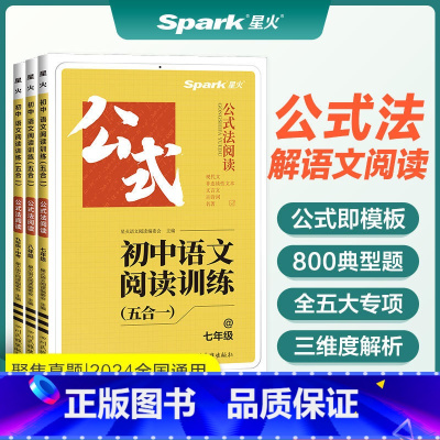 [九年级/中考]语文阅读训练七合一 初中通用 [正版]2024Spark英语巅峰训练七年级八年级九年级初中语文阅读训练七