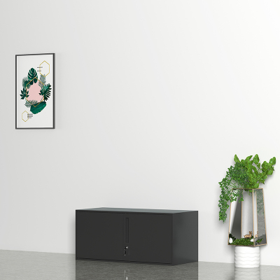 臻远ZY-WJGC-36文件柜窄边矮柜拆装档案柜书柜带 黑色顶柜