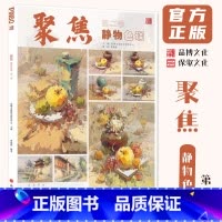 [正版]聚焦静物色调第二季 2024品博文化曹建鼎
