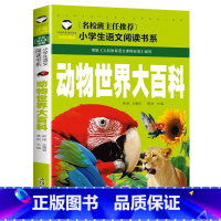 动物世界大百科 小学通用 [正版]5本20元小学生一段话作文好词好句好段小学生作文起步1-2年级儿童作文书入门注音版小学