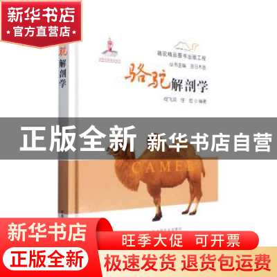 正版 骆驼解剖学 何飞鸿,任宏 中国农业出版社 9787109289048 书
