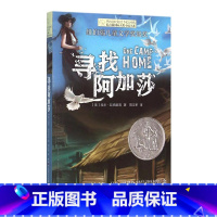 寻找阿加莎 [正版]新版 长青藤小说书系倩达秘密 宇宙后一本书 枫树山的奇迹五年级的烦恼胡桃木小姐