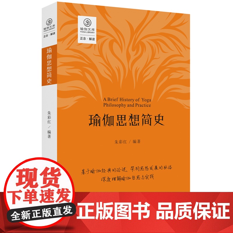 瑜伽思想简史(易于中国人理解的瑜伽思想发展脉络) 朱彩红 四川人民出版社 正版书籍