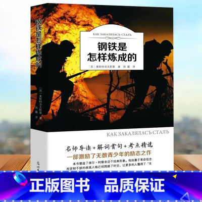 钢铁是怎样炼成的 [正版]钢铁是怎样炼成的初中原著 八年级上初中生原版课外阅读书籍8年级下册 8年级中小学生课外书 经典