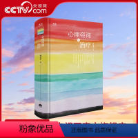 [正版]央视网心理咨询与治疗 林孟平 著 一部深入探讨心理咨询的著作 理论与实践并重GC
