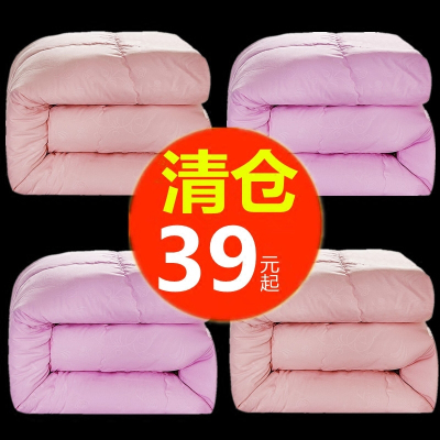 丝棉被春秋被芯冬被单人床冬天学生宿舍双人冬季夏凉被子加厚保暖