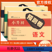 语文+数学+英语[共3本] 小学升初中 [正版]2023版 小升初押题卷语文数学英语模拟卷共3本 小学升初中教辅练习册