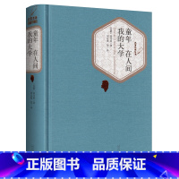 在人间 我的大学 高尔基 [正版]童年 在人间和我的大学 高尔基的三部曲 精装版无删减 世界文学名著小说书籍初中生高中生