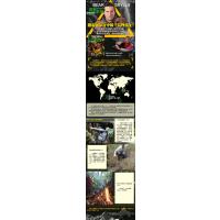 猛虎火山的生死逃亡(拓展版)/荒野求生少年生存小说系