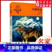 刀疤豺母 [正版]书店 刀疤豺母 升级版动物小说大王沈石溪·品藏书系 中/小学生阅读少儿读物 儿童文学