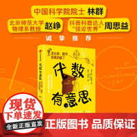 代数有意思 这么讲 数学我真的爱了 大卫艾奇逊著 中信出版社图书 正版