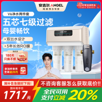 安吉尔净水器家用直饮V6净饮机 1.46升/分钟净水机J2605-ROB60(A8)+J3217前置过滤器