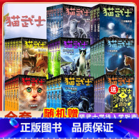 --------猫武士七部曲 全套45册------- [正版]猫武士第一二三四五六七八部曲全套45册传奇的猫族儿童中小
