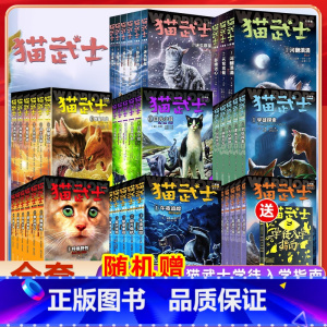 --------猫武士七部曲 全套45册------- [正版]猫武士第一二三四五六七八部曲全套45册传奇的猫族儿童中小